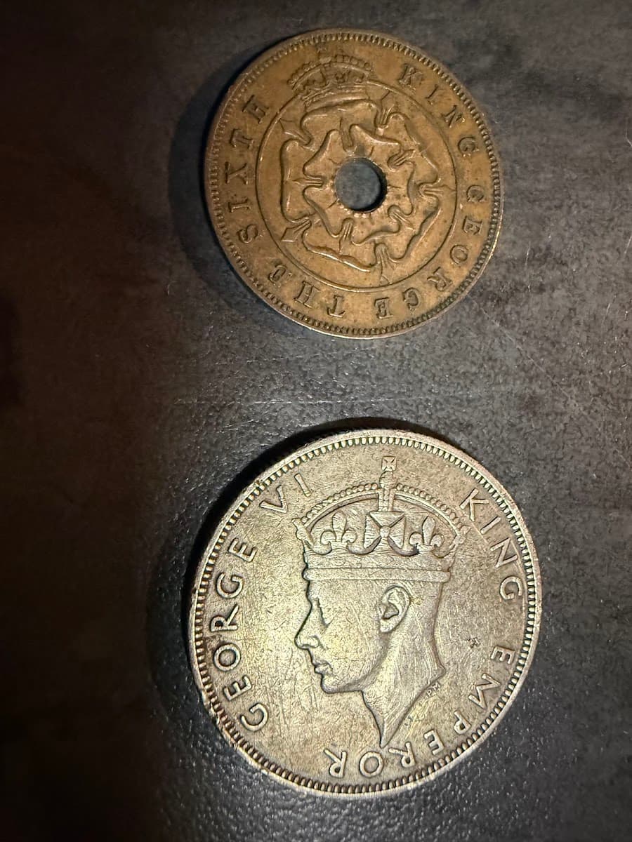 RSD-COIN-002 hero photograph